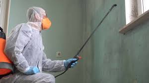 Best Commercial Mold Inspection  in Saylorsburg, PA